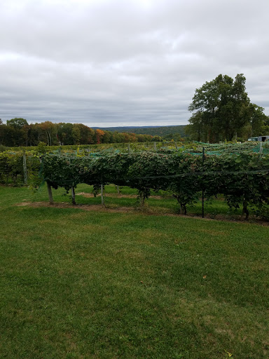 Winery «Priam Vineyards», reviews and photos, 11 Shailor Hill Rd, Colchester, CT 06415, USA