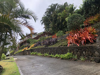 3 Brothers Landscaping Services - Photo 7 - Car repair in , Honolulu