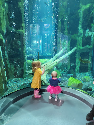Aquarium «Great Lakes Aquarium», reviews and photos, 353 Harbor Dr, Duluth, MN 55802, USA