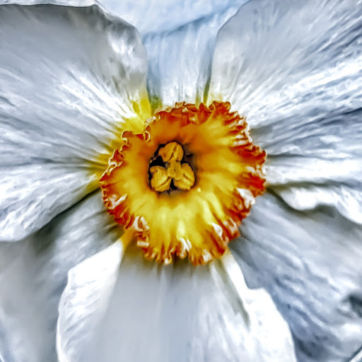 Grocery Store «Super Stop & Shop», reviews and photos, 15 Franklin St, Seymour, CT 06483, USA