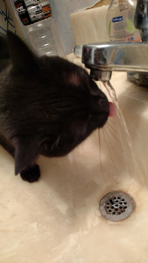 Grocery Store «Kroger», reviews and photos, 4400 Brownsville Rd, Powder Springs, GA 30127, USA