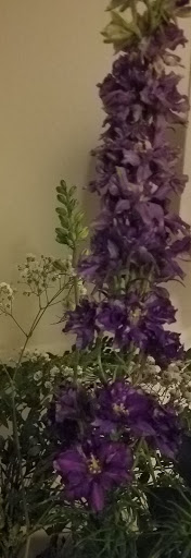 Florist «The Flower Gallery», reviews and photos, 10816 Sudley Manor Dr, Manassas, VA 20109, USA