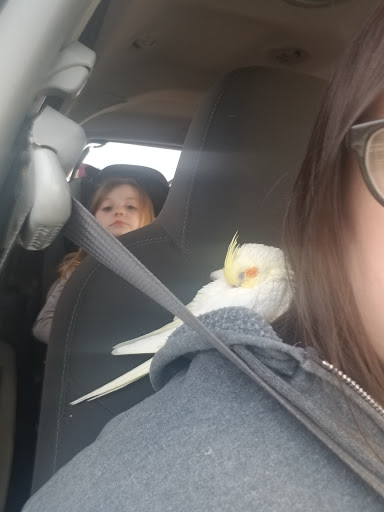 Pet Supply Store «Petco Animal Supplies», reviews and photos, 2541 NW Arterial, Dubuque, IA 52002, USA