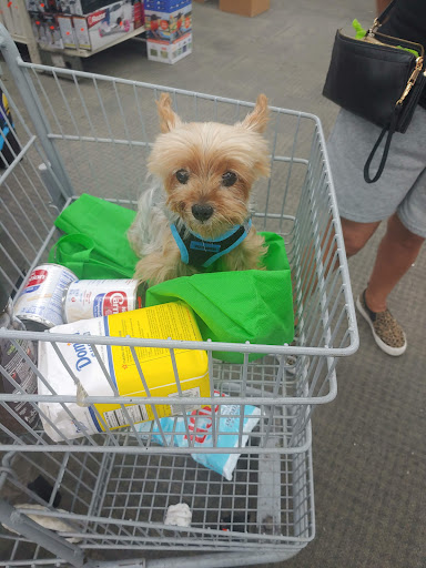 Appliance Store «P.C. Richard & Son», reviews and photos, 103-54 94th St, Ozone Park, NY 11417, USA