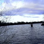 Photo n°1 de l'avis de Janny. fait le 15/12/2017 à 17:32 sur le  Hotel Darstein à Altrip