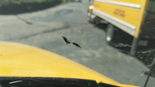 Used Car Dealer «J & R Motorsports», reviews and photos, 15304 WA-99, Lynnwood, WA 98087, USA