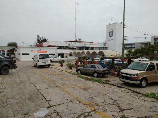 Dirección de Inspección y Vigilancia del municipio de Zapopan, Jalisco