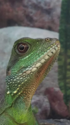 Pet Supply Store «Petco Animal Supplies», reviews and photos, 10 Sylvan St, Peabody, MA 01960, USA