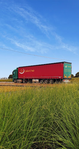 Avaliações doTransportes Cardoso & Irmão, SA em Viseu - Serviço de transporte