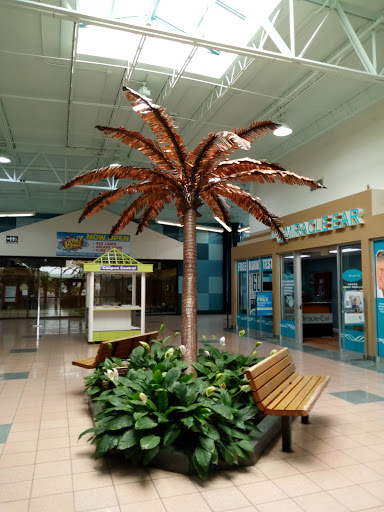 Shopping Mall «Crystal River Mall», reviews and photos, 1801 US-19, Crystal River, FL 34428, USA