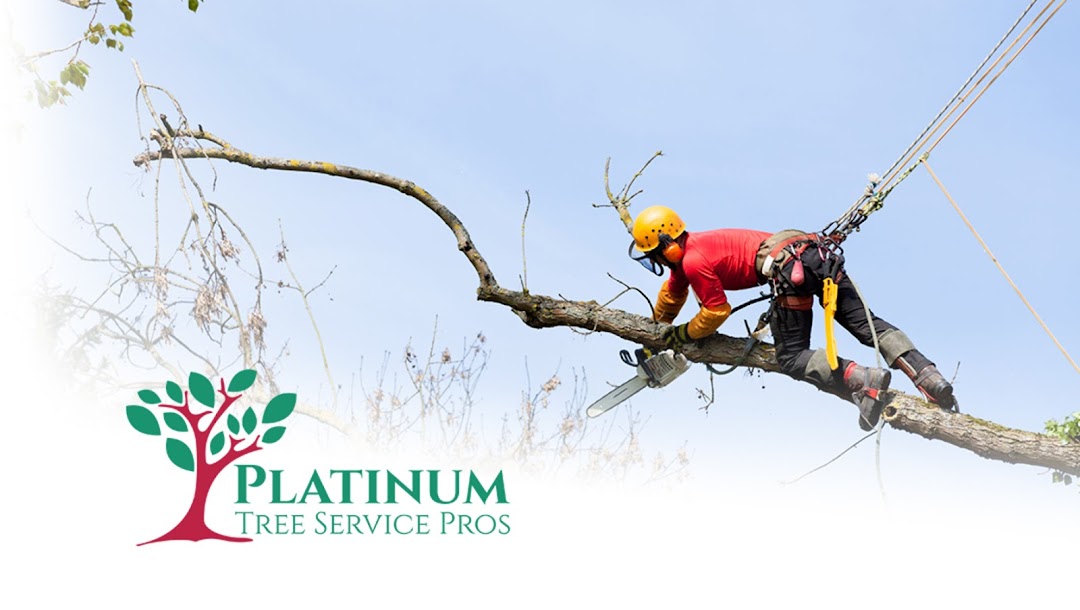 Platinum Tree Service Pros Baton Rouge