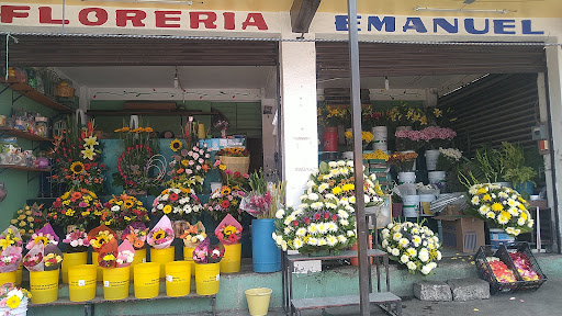 Florería Emanuel