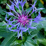 Photo n° 5 de l'avis de Sonia.A fait le 06/11/2022 à 21:30 pour Massif des Bauges à École