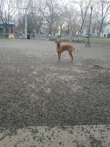 Dog Park «Church Square Park Dog Park», reviews and photos, 401-449 Willow Ave, Hoboken, NJ 07030, USA