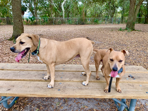 Dog Park «West Park», reviews and photos, 5812 N Occident St, Tampa, FL 33614, USA