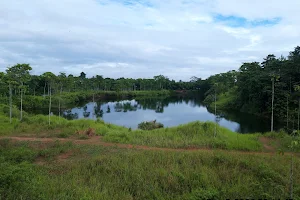 Danau Suradita image
