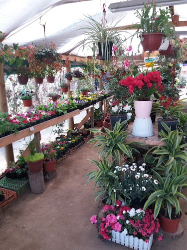 Jardin Yayita - Floristería