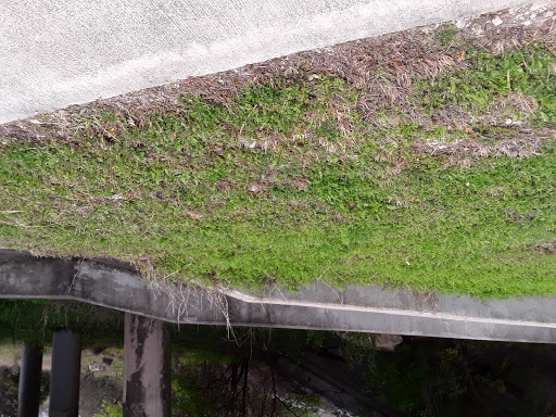 Park «Culebra Creek Park», reviews and photos, 10919 Westwood Loop, San Antonio, TX 78254, USA