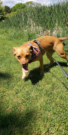 Park «Vanderbilt Park», reviews and photos, 855 S Platte River Dr, Denver, CO 80223, USA