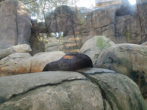 Zoo «Caldwell Zoo», reviews and photos, 2203 W Martin Luther King Jr Blvd, Tyler, TX 75702, USA