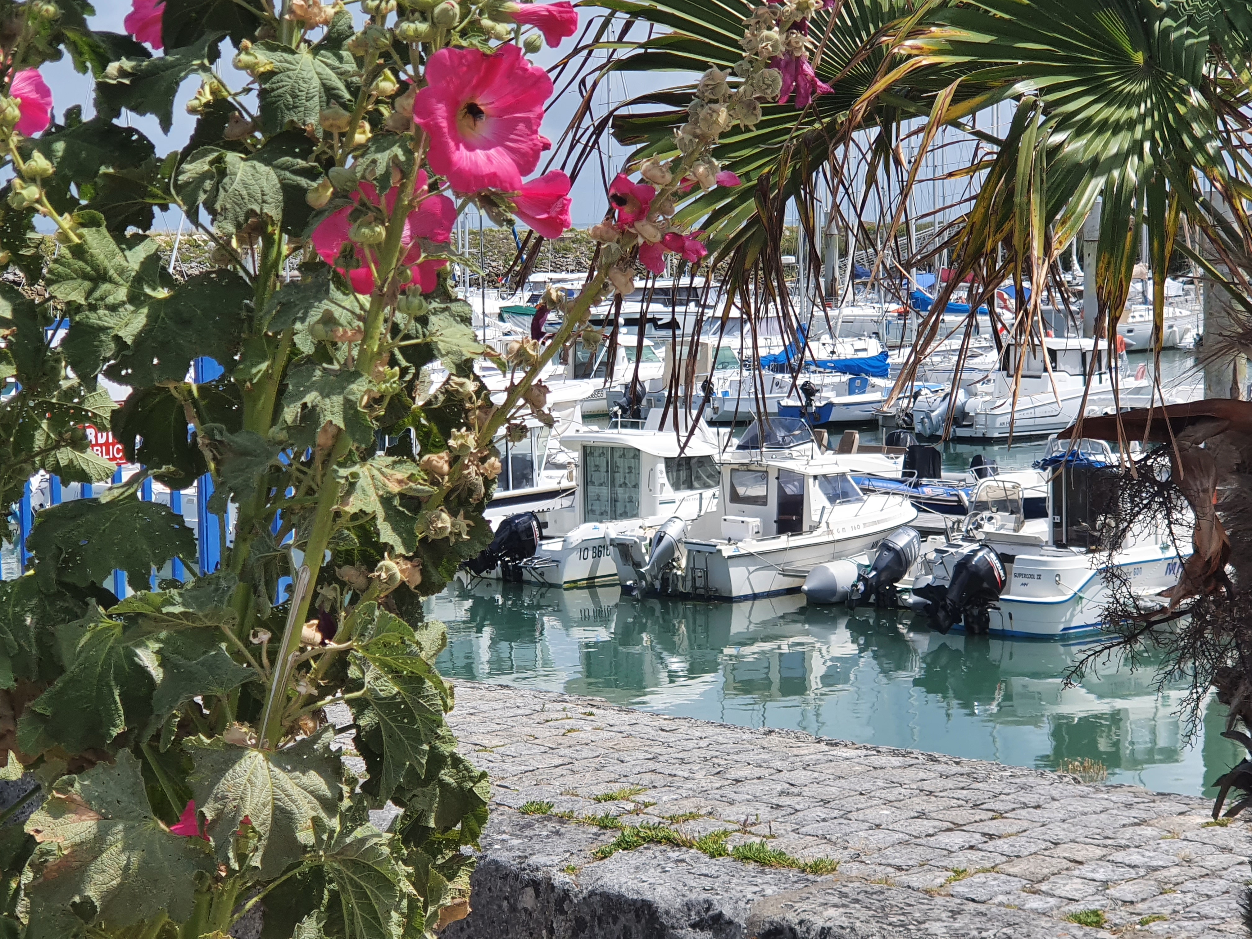 Photo n° 6 de l'avis de Rob.e fait le 24/07/2021 à 16:02