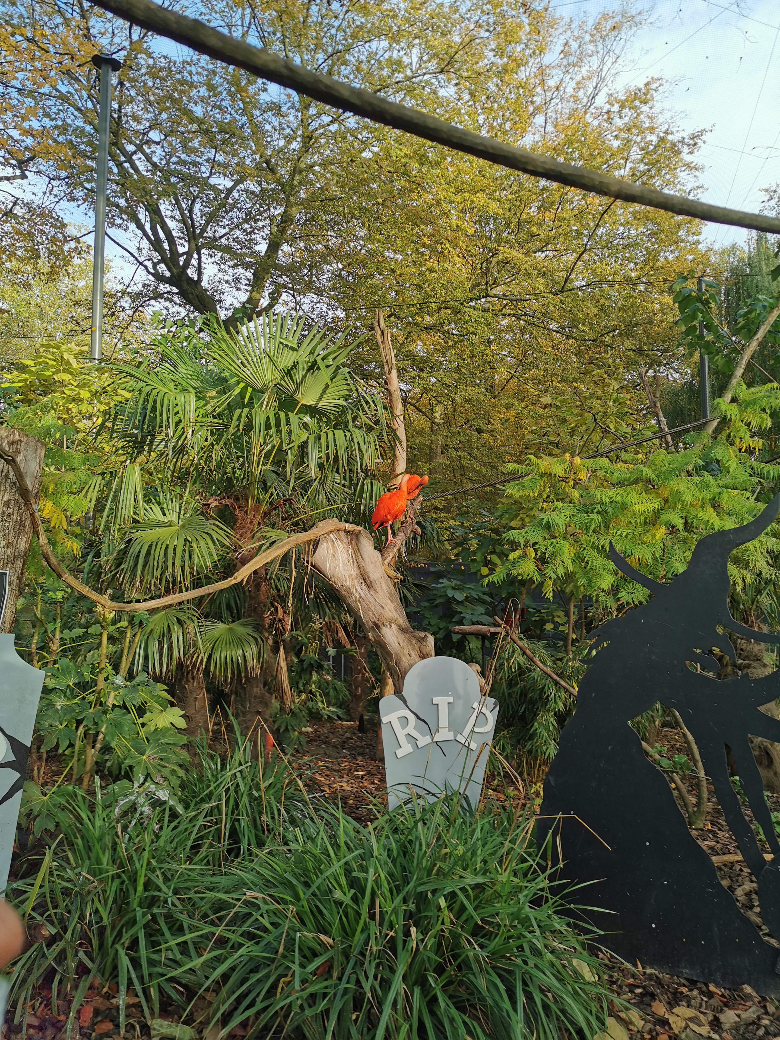 Photo n° 3 de l'avis de sabrina.e fait le 31/10/2020 à 21:38