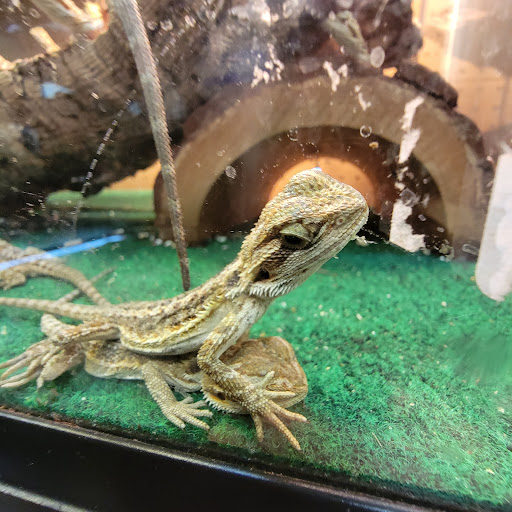 Pet Store «Fin & Feather Pet Center, Inc.», reviews and photos, 5208 Lakeside Ave, Richmond, VA 23228, USA