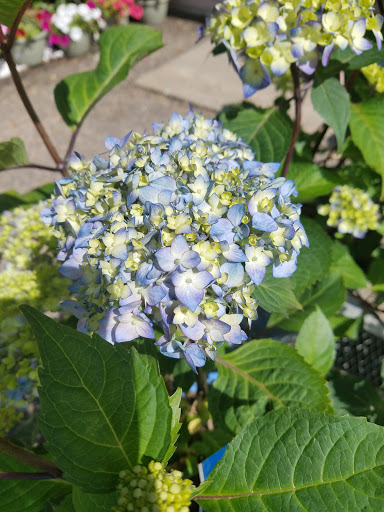 Hardware Store «Ham Lake Hardware Hank», reviews and photos, 17426 MN-65, Ham Lake, MN 55304, USA