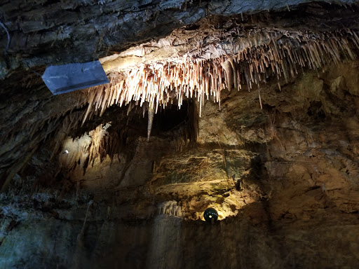 Resort «Smoke Hole Caverns», reviews and photos, 8290 N Fork Hwy, Cabins, WV 26855, USA