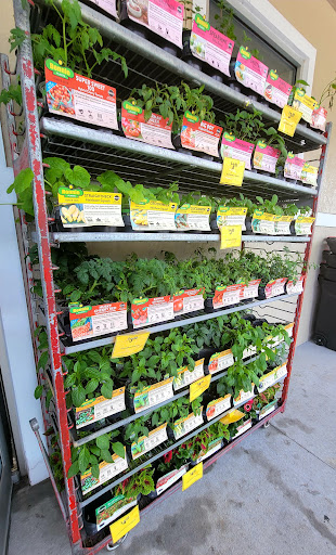 Hardware Store «Deland Ace Hardware», reviews and photos, 245 S Woodland Blvd, DeLand, FL 32720, USA