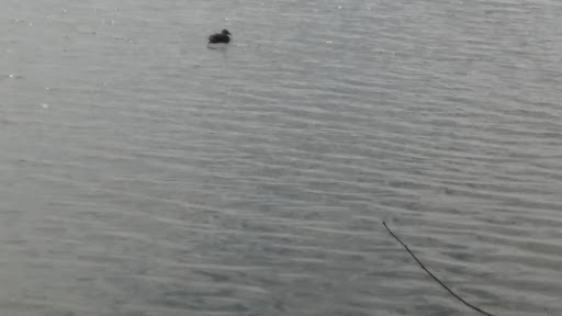 Park «Hudson Park», reviews and photos, 2919 Lakeland Ave, Madison, WI 53704, USA