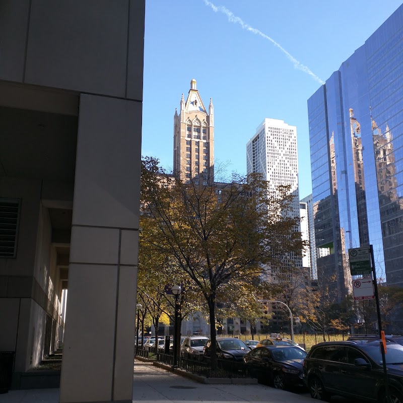 Northwestern Medicine Prentice Women's Hospital