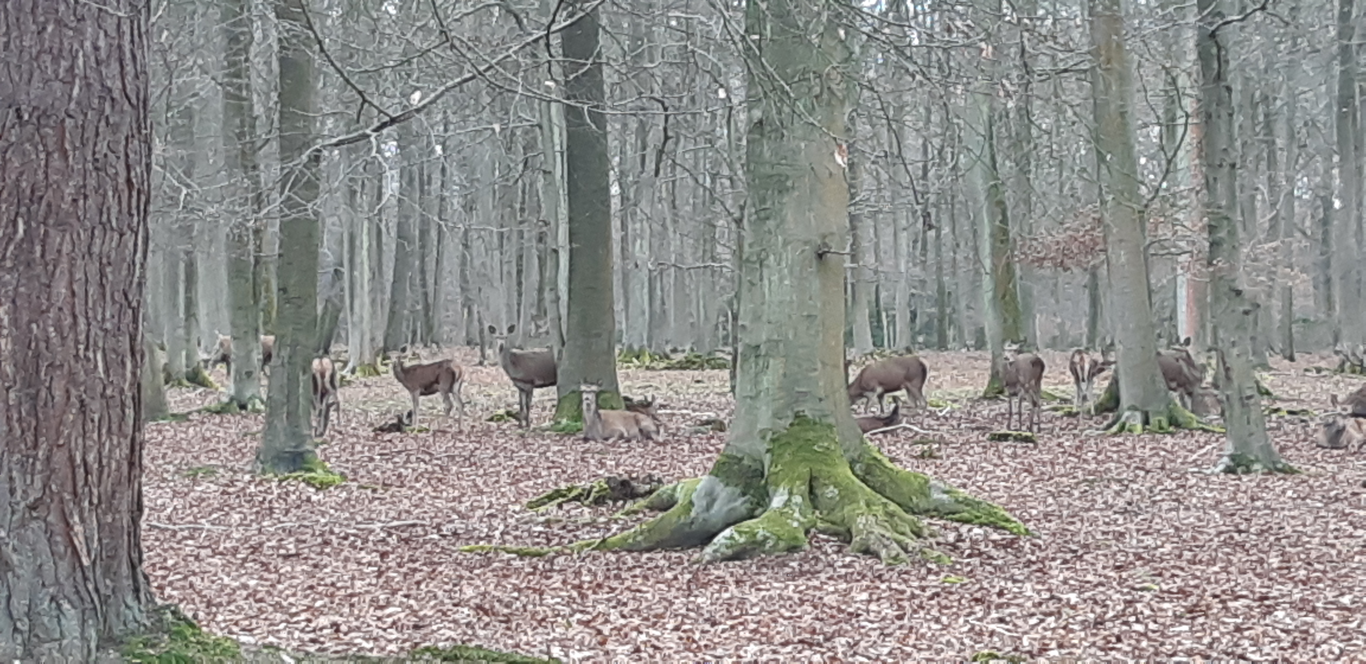 Photo n° 2 de l'avis de Charles.' fait le 08/02/2022 à 08:59