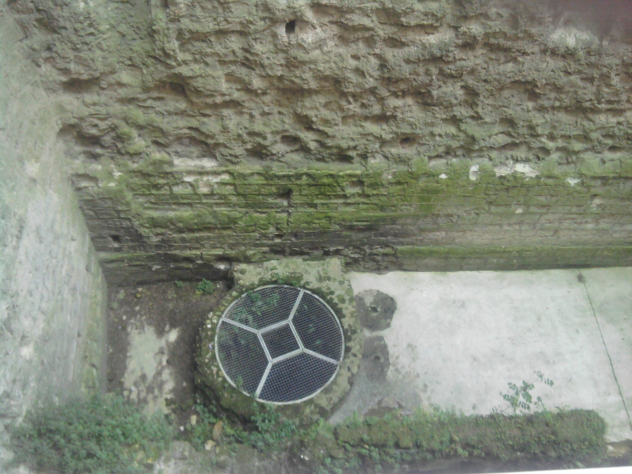 Photo n° 8 de l'avis de Chamroeun.H fait le 10/11/2022 à 00:01