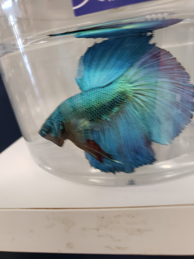 Pet Supply Store «Petco Animal Supplies», reviews and photos, 525 S 5th St, Bismarck, ND 58504, USA