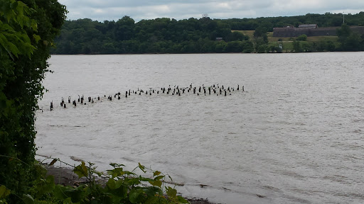 National Park «Fort Hunt Park», reviews and photos, 8999 Fort Hunt Rd, Alexandria, VA 22308, USA