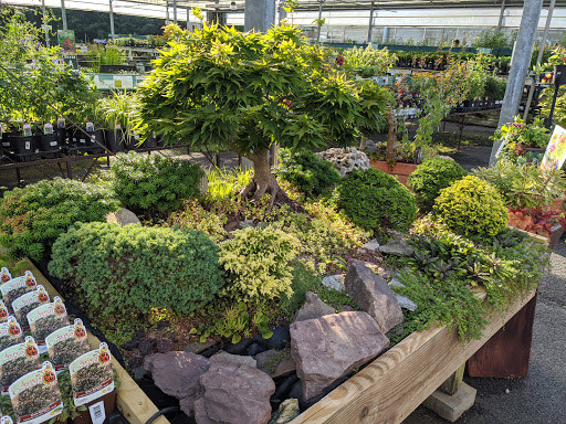 Merrifield Garden Center