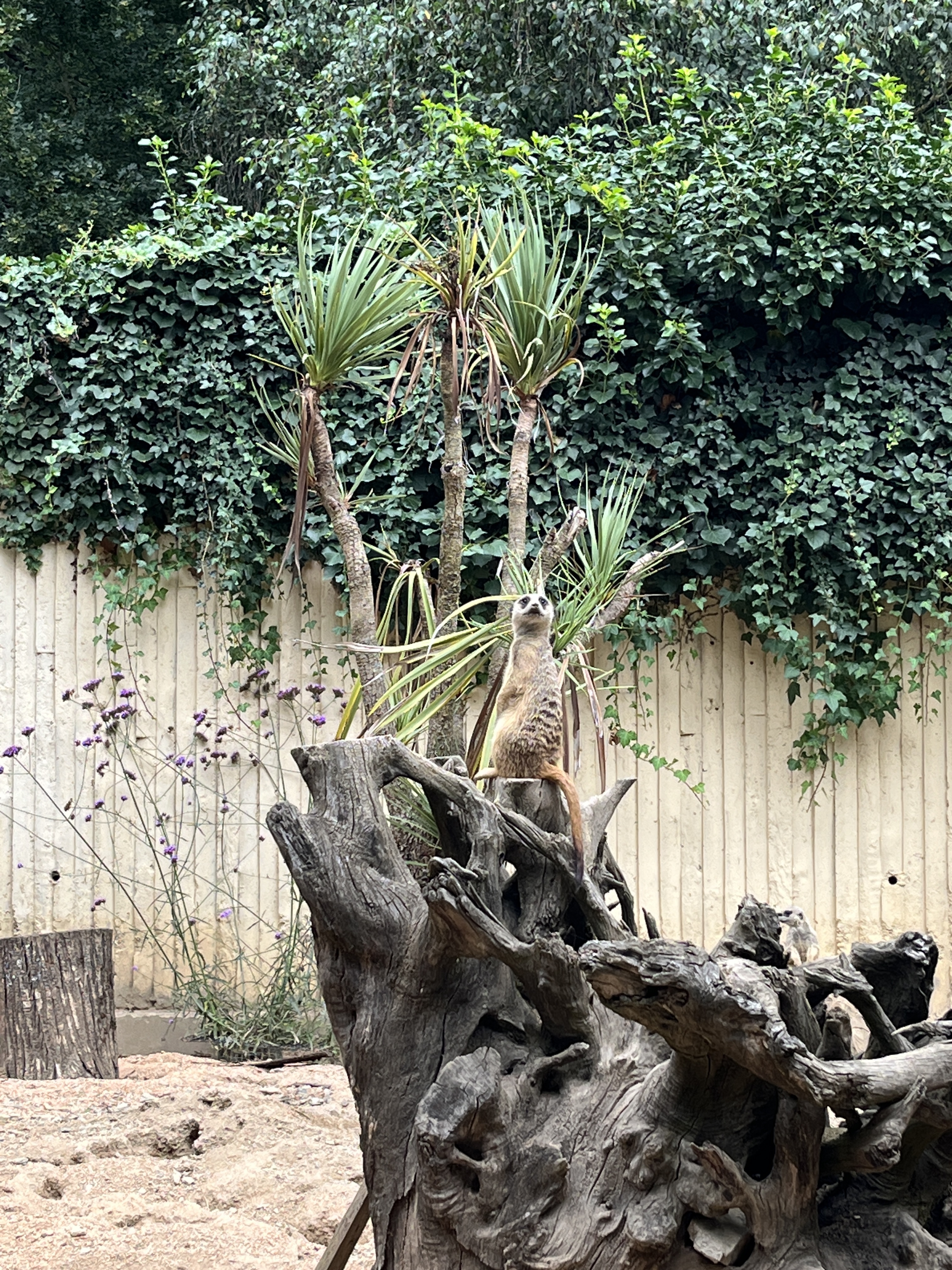 Photo n° 15 de l'avis de QIN.I fait le 16/07/2023 à 10:58