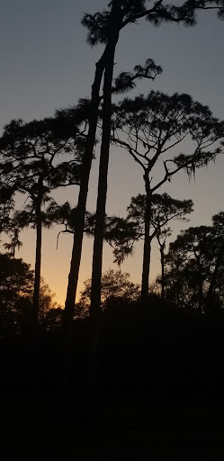 Park «Henry & Ola Park», reviews and photos, 502 W Henry Ave, Tampa, FL 33604, USA