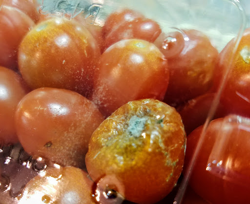 Supermarket «ALDI», reviews and photos, 3057 NJ-35, Hazlet, NJ 07730, USA