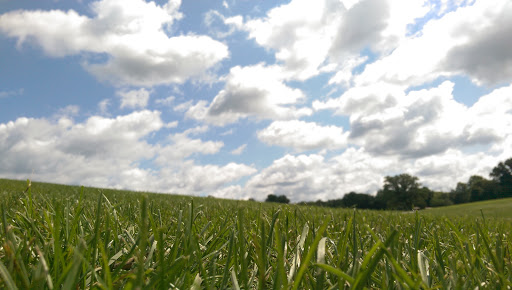 Golf Club «Bent Tree Golf Club», reviews and photos, 350 Bent Tree Rd, Sunbury, OH 43074, USA