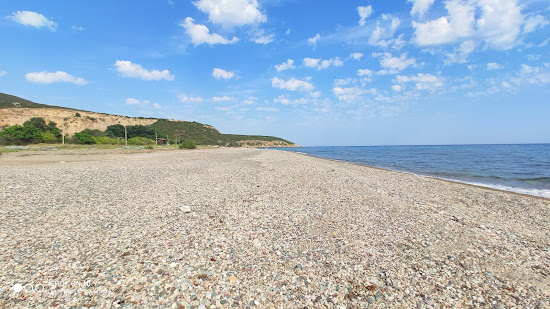 Paralia Petroton