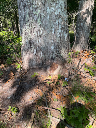 Golf Club «Swan Lake Golf Club», reviews and photos, 388 River Rd, Manorville, NY 11949, USA