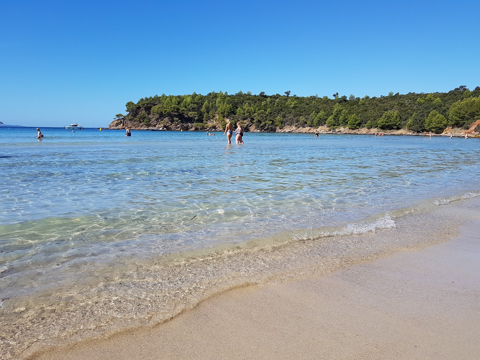 Photo de Plage d'Estagnol avec l'eau cristalline de surface