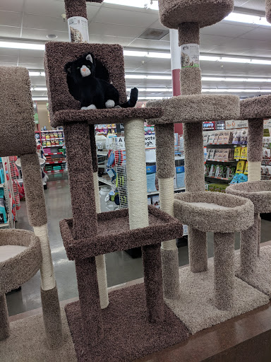 Pet Supply Store «Pet Food Express», reviews and photos, 383 S McDowell Blvd, Petaluma, CA 94954, USA