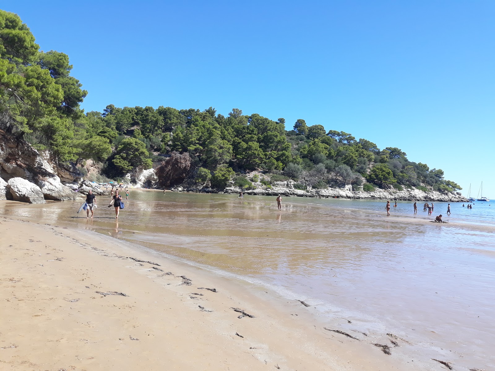 San Felice Beach的照片 位于自然区域