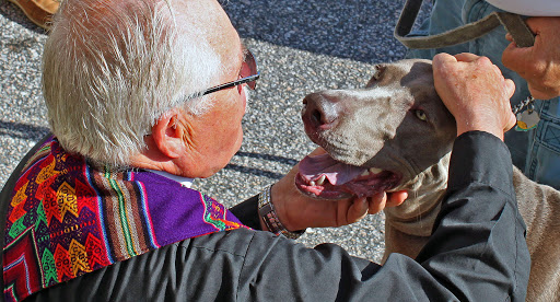 Saint Francis Animal Hospital image
