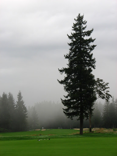 Golf Course «Washington National Golf Club», reviews and photos, 14330 SE Husky Way, Auburn, WA 98092, USA