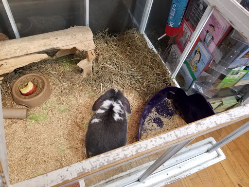 Gift Shop «The Wrinkled Egg», reviews and photos, 2710 NC-225, Flat Rock, NC 28731, USA