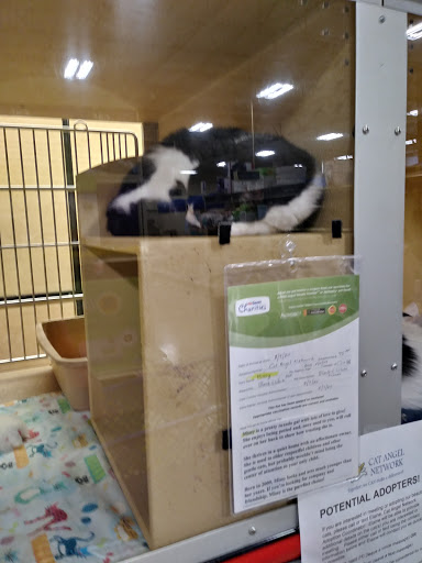 Pet Supply Store «PetSmart», reviews and photos, 1112 Town Square Rd, Pottstown, PA 19465, USA